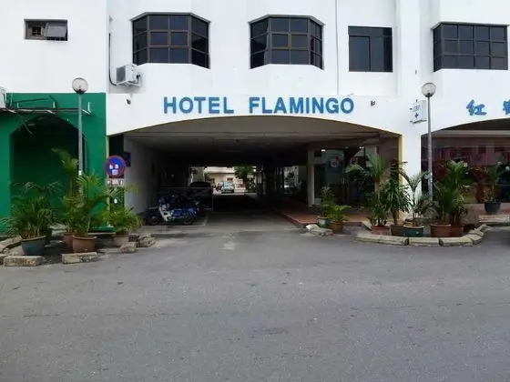 Flamingo