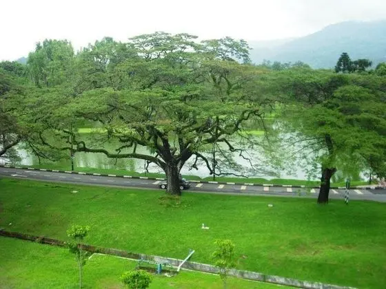 Flemington Hotel Taiping 