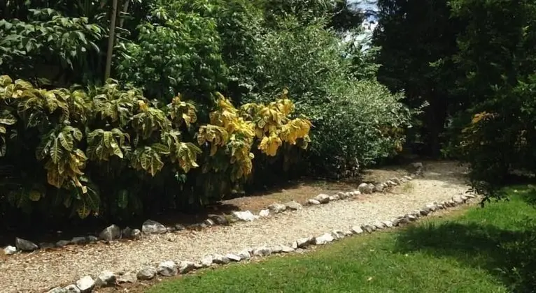 Hotel Flor de Itabo - Dış Mekan