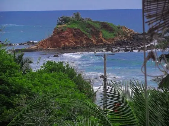 Flora and Fauna Mirissa - Dış Mekan