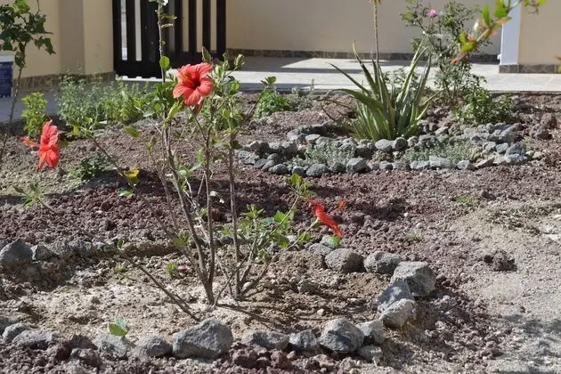 Floralia - Dış Mekanlar
