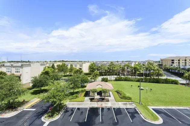 Florida Palms