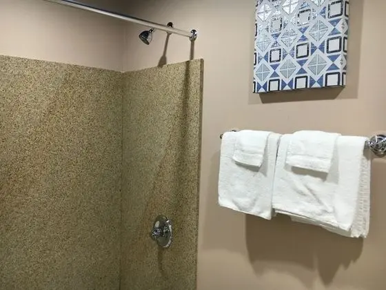 The Fly Inn - Banyo Tipleri