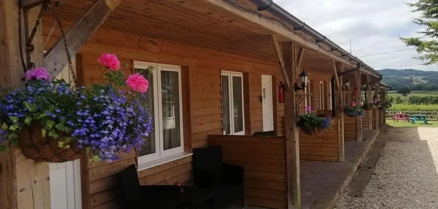 The Flying Fish Stables - Öne Çıkan Resim
