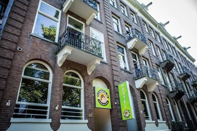 The Flying Pig Uptown Hostel