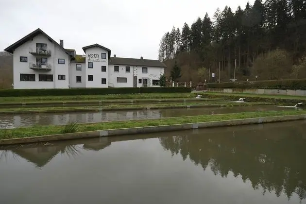 Hotel Forellenzucht - 1