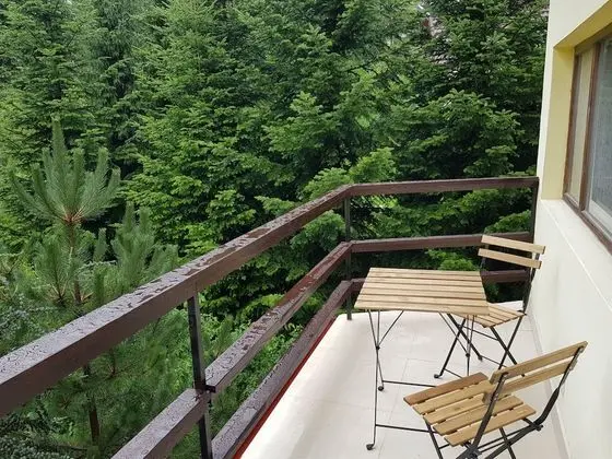 Forest Apartment by Olala Homes
