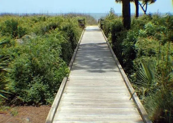Forest Beach by Seashore Vacations - Dış Mekan