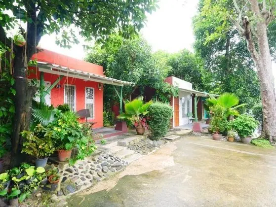 Forest Bungalows & Mama's Restaurant - Dış Mekan