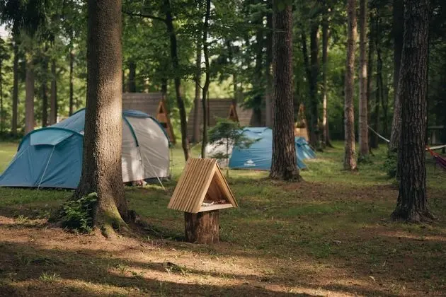 Forest Camping Mozirje - Dış Mekan