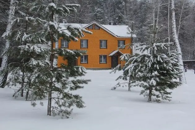 Forest estate Lesnye Polyany