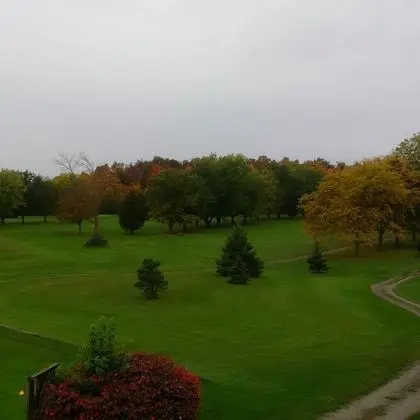 Forest Golf Club and Inn - Oda Manzaraları