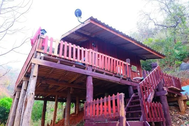 Forest Guesthouse