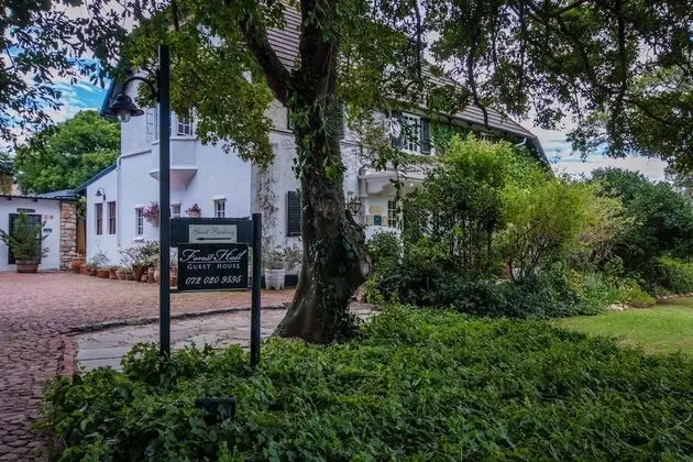 Forest Hall Guest House - Lobi