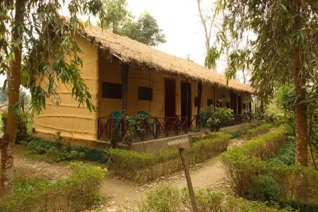 Forest Hideaway Hotel & Cottage