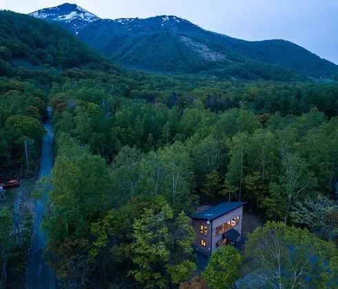 Forest Hideaway