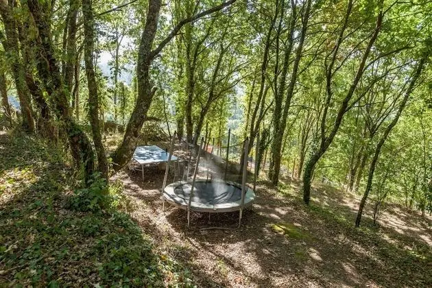 Forest House Casinha do Carvalhal - Dış Mekan