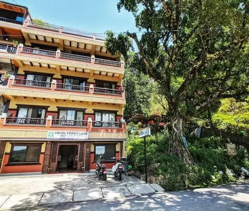 Hotel Forest Lake Backpackers' Hostel - Dış Mekan