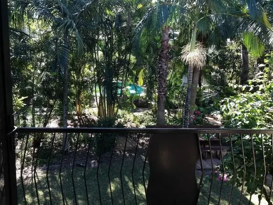 Forest Lodge Apartments - Havuz