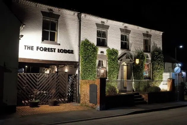 The Forest Lodge - Dış Mekan