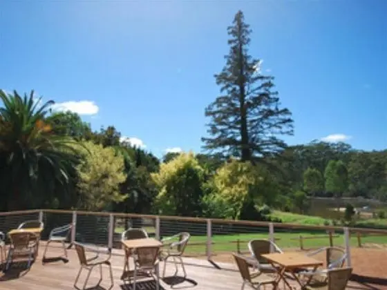 Forest Lodge Resort