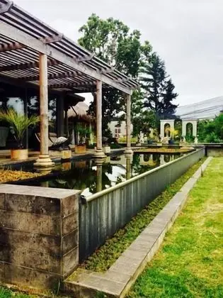 Forest Nature Spa - Öne Çıkan Resim