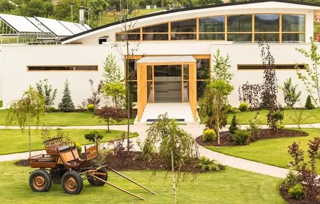 Forest Retreat & Spa - 1