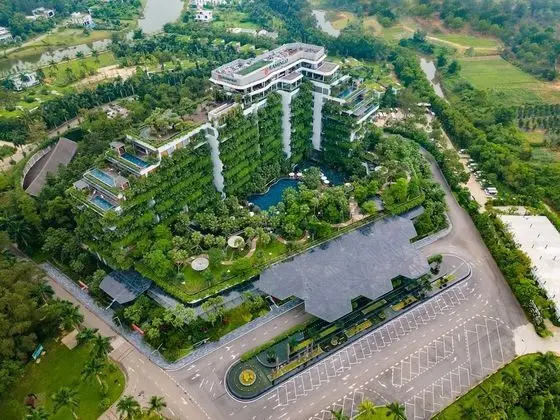Forest In The Sky Flamingo Dai Lai Resort
