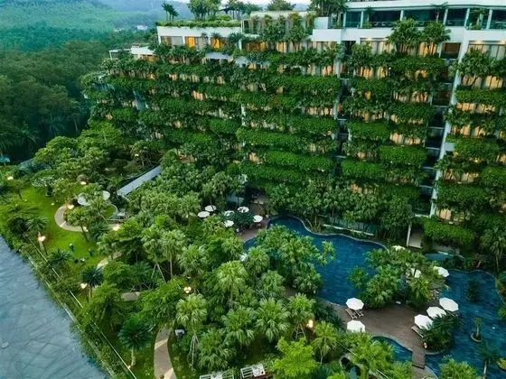 Forest In The Sky Flamingo Dai Lai Resort - Dış Mekan