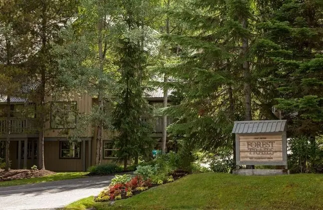 Forest Trails by Whistler Premier