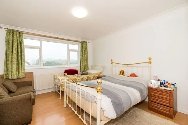 Forest View Bright Apartment