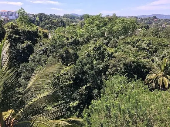 Villa Forest View