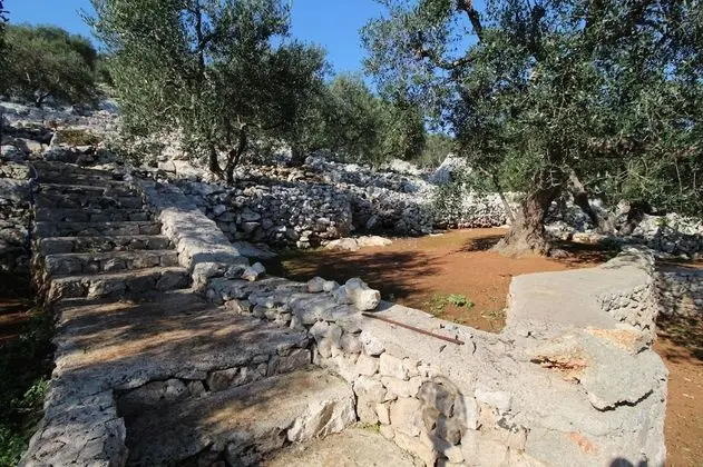 Foresta Forte Casa in Pietra Vicino al Ciolo - Dış Mekan