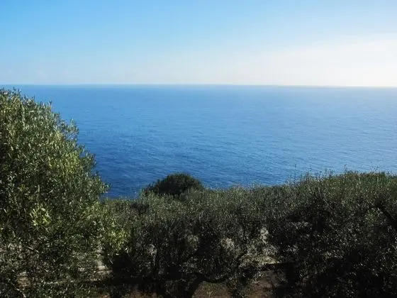Foresta Forte Casa in Pietra Vicino al Ciolo - Genel