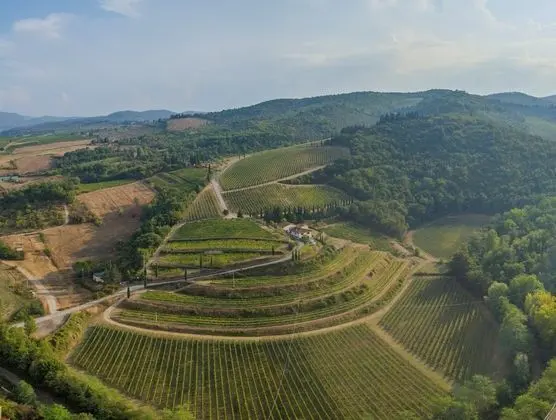 Foresteria Castello di Verrazzano - Öne Çıkan Resim