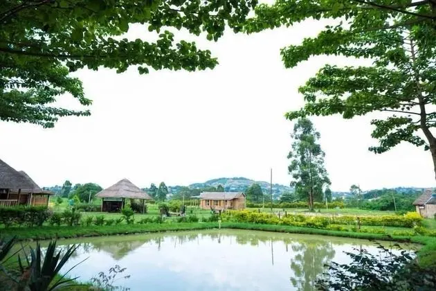 Forever Eco Resort