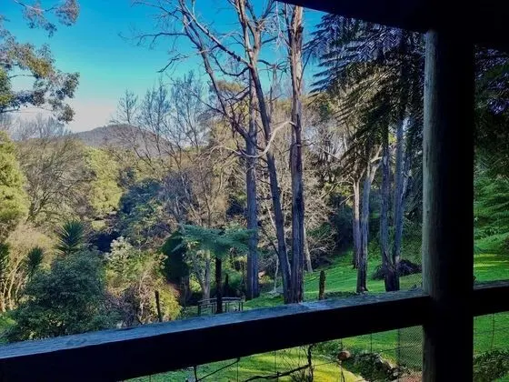 Forget Me Not Cottages - Öne Çıkan Resim