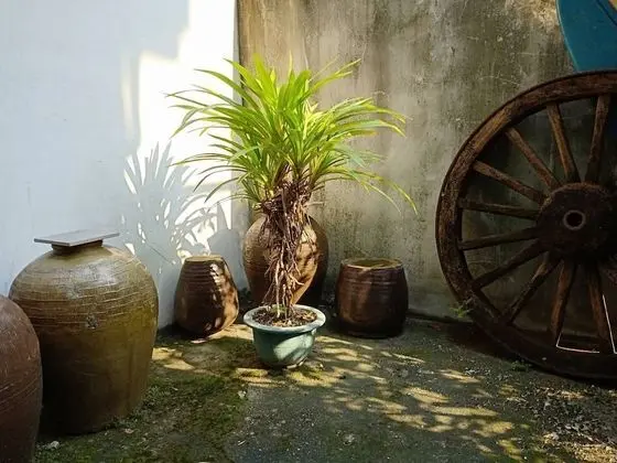 Formosa Backpackers Hostel & Apartment - Oda Düzeni