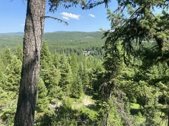 Fortine Creek Camping - Dış Mekan