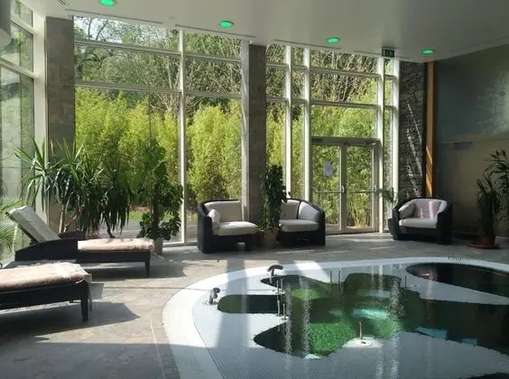 Fota Island Hotel & Spa - Havuz
