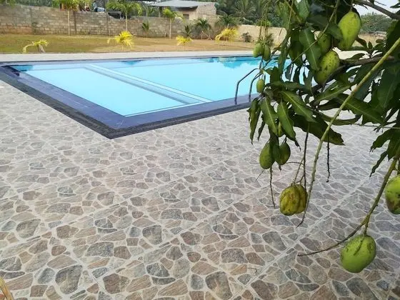Four Points Resort - Anuradhapura - Havuz