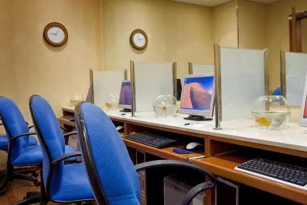 Four Points by Sheraton Kuwait - Aktiviteler