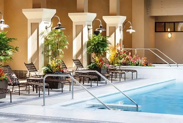 Four Points by Sheraton Norwood - Havuz