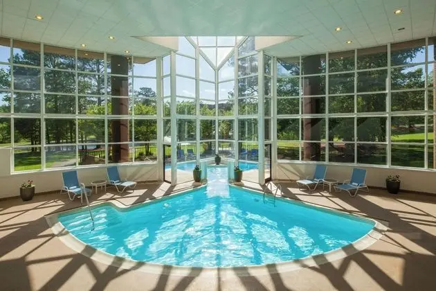 Four Points by Sheraton Richmond - Havuz