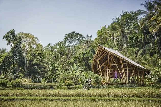 Four Seasons Resort Bali at Sayan - CHSE Certified - Spa
