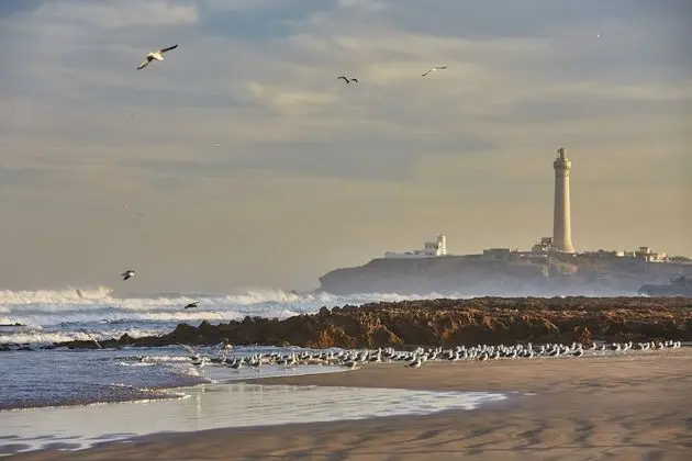 Four Seasons Hotel Casablanca - Plaj