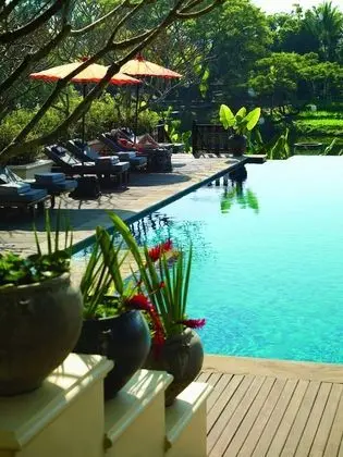Four Seasons Resort Chiang Mai - Havuz