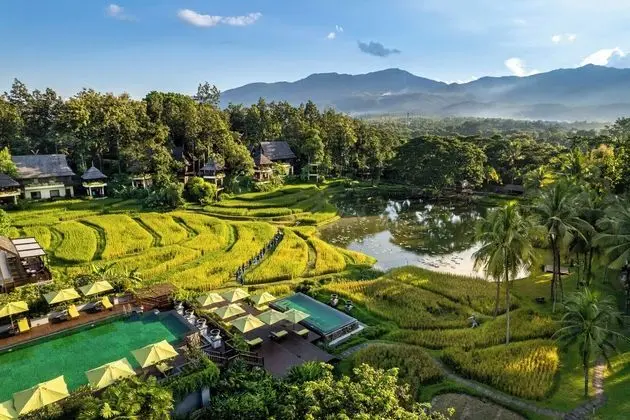 Four Seasons Resort Chiang Mai - Havuz