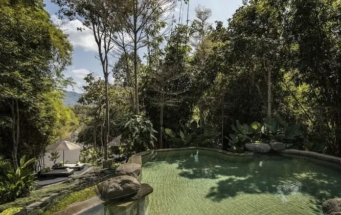 Four Seasons Tented Camp Golden Triangle - Havuz