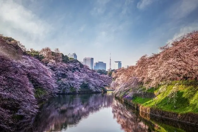 Four Seasons Hotel Tokyo at Otemachi